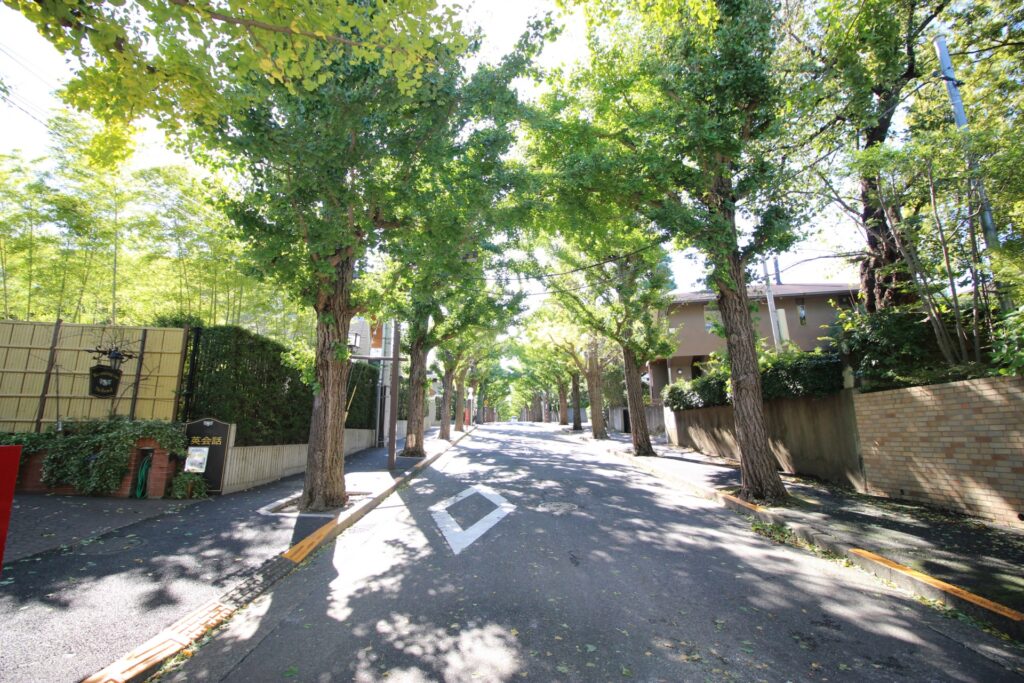 田園調布・街路樹