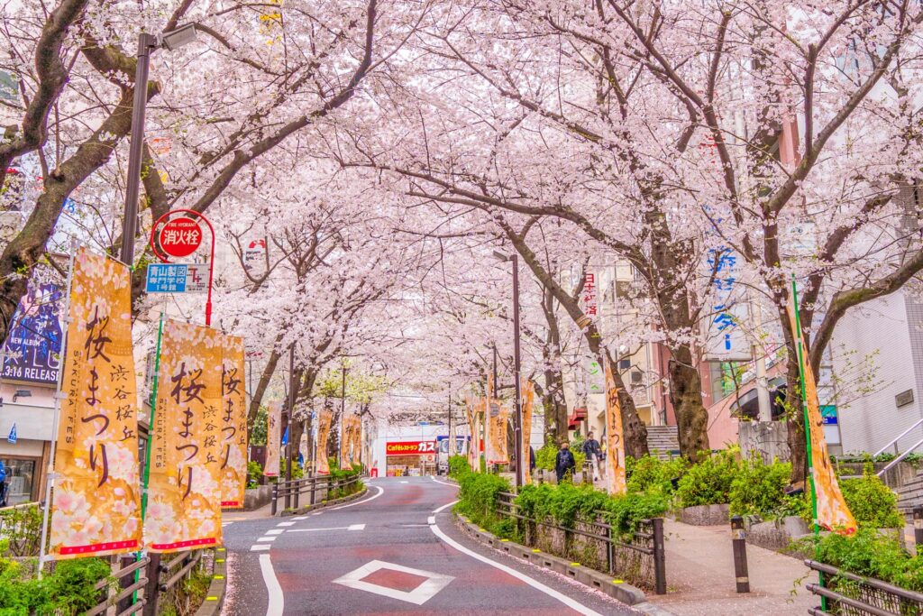 渋谷桜坂