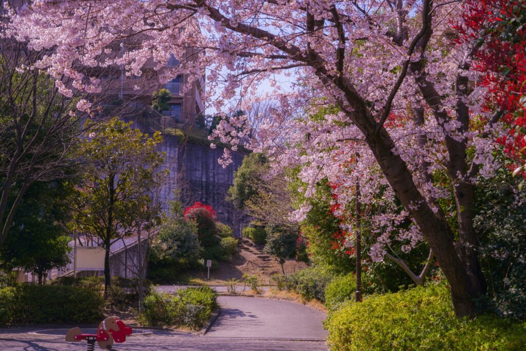 横浜市青葉区・桜台