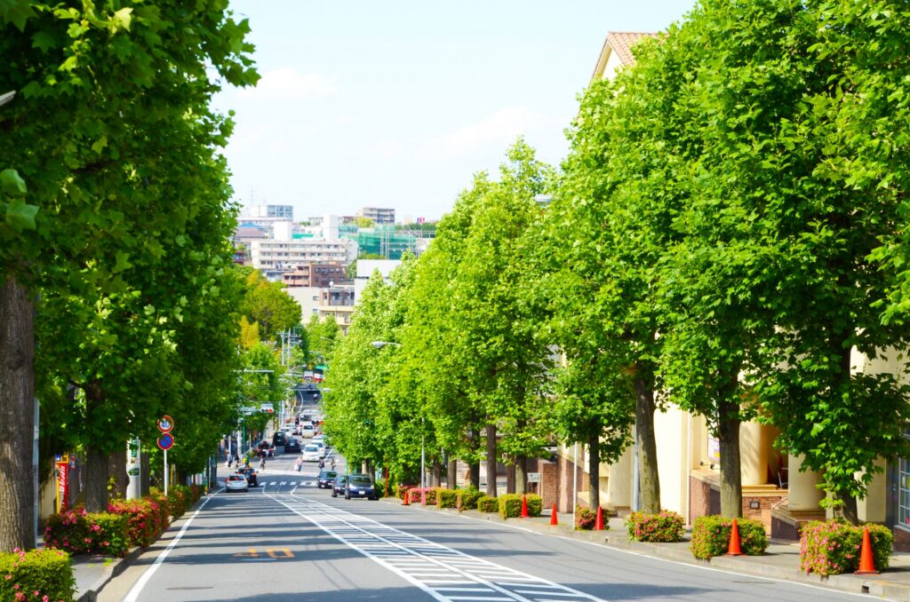あざみ野駅前道路