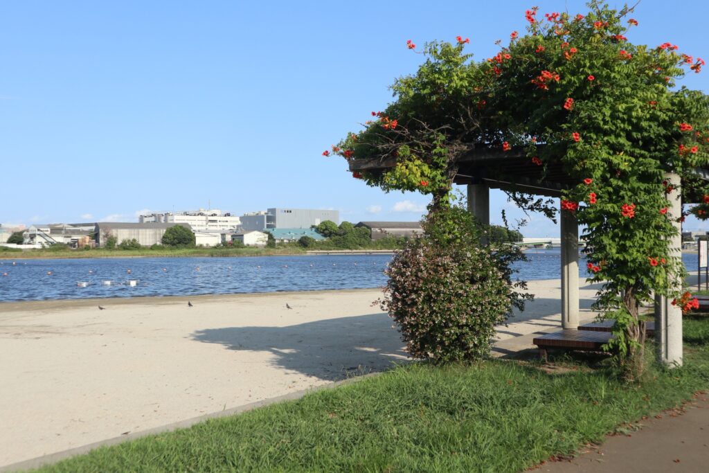 大森ふるさとの浜辺公園
