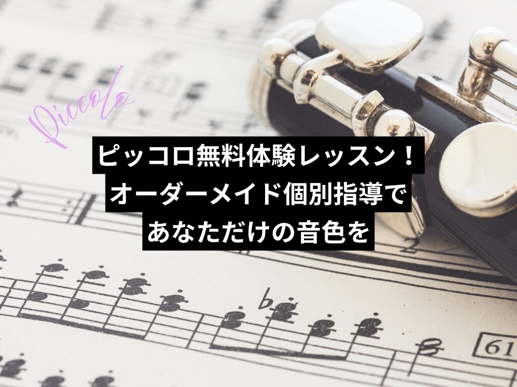 ピッコロ無料体験レッスン!オーダーメイド個別指導であなただけの音色を