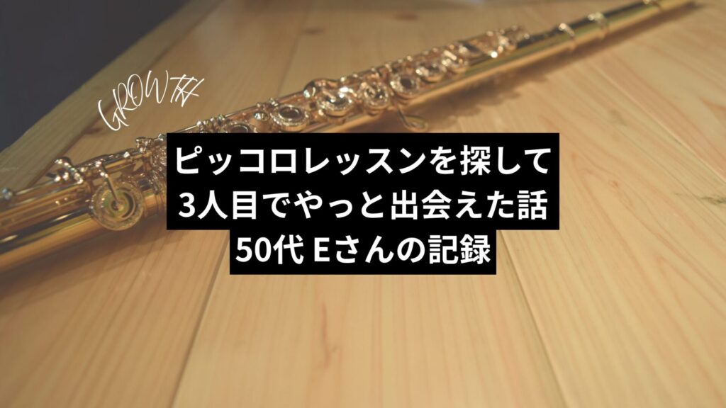 ピッコロレッスンを探して3人目でやっと出会えた話｜50代Eさんの記録